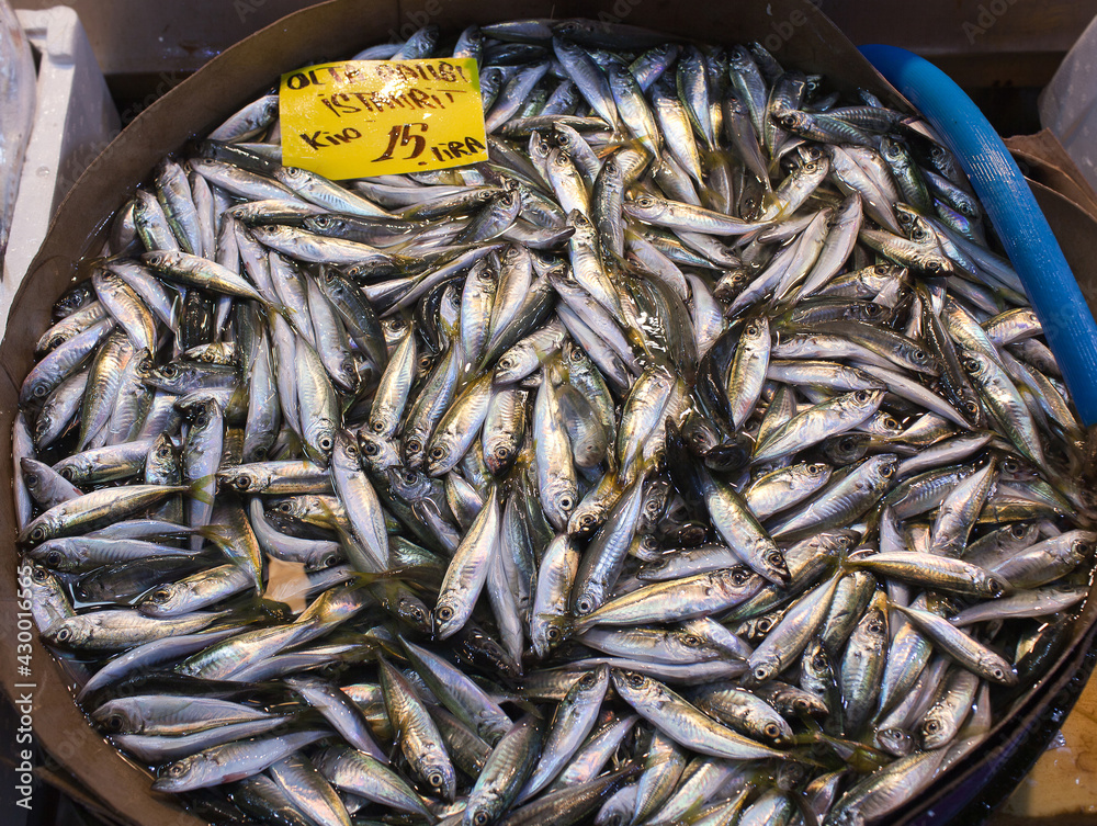 Freshly catched fish, prawns and seafood at morning fish market of Kadikoy in Istanbul, Turkey Freshly catched fish, prawns and seafood at morning fish market of Kadikoy in Istanbul, Turkey