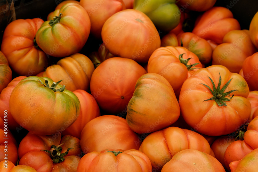 Tomates rojos frescos Tomates rojos frescos