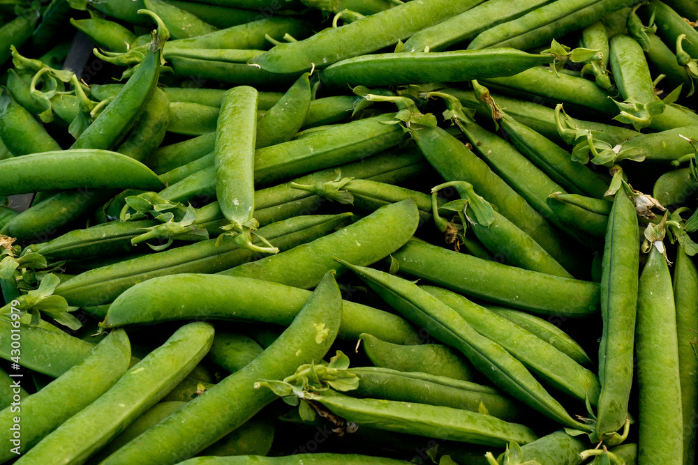 Judías verdes en vaina mercado de primavera Judías verdes en vaina mercado de primavera
