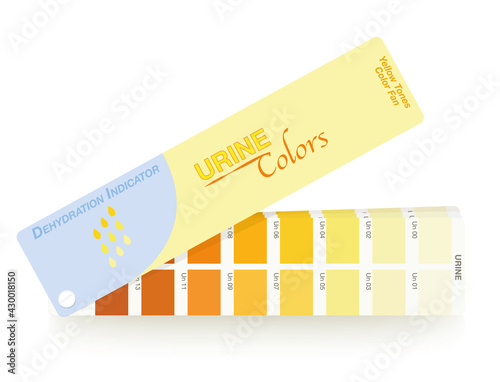 Urine colors. Color fan with index from clear urine to yellow and orange and even darker. Indicator of the level of dehydration. Vector illustration on white.

