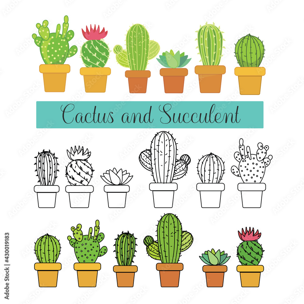 Cactus and succulent six vector illustrations flat design, black and white outline, and color cartoon illustration, Cactus and succulent set. Cactus and succulent six vector illustrations flat design, black and white outline, and color cartoon illustration, Cactus and succulent set.