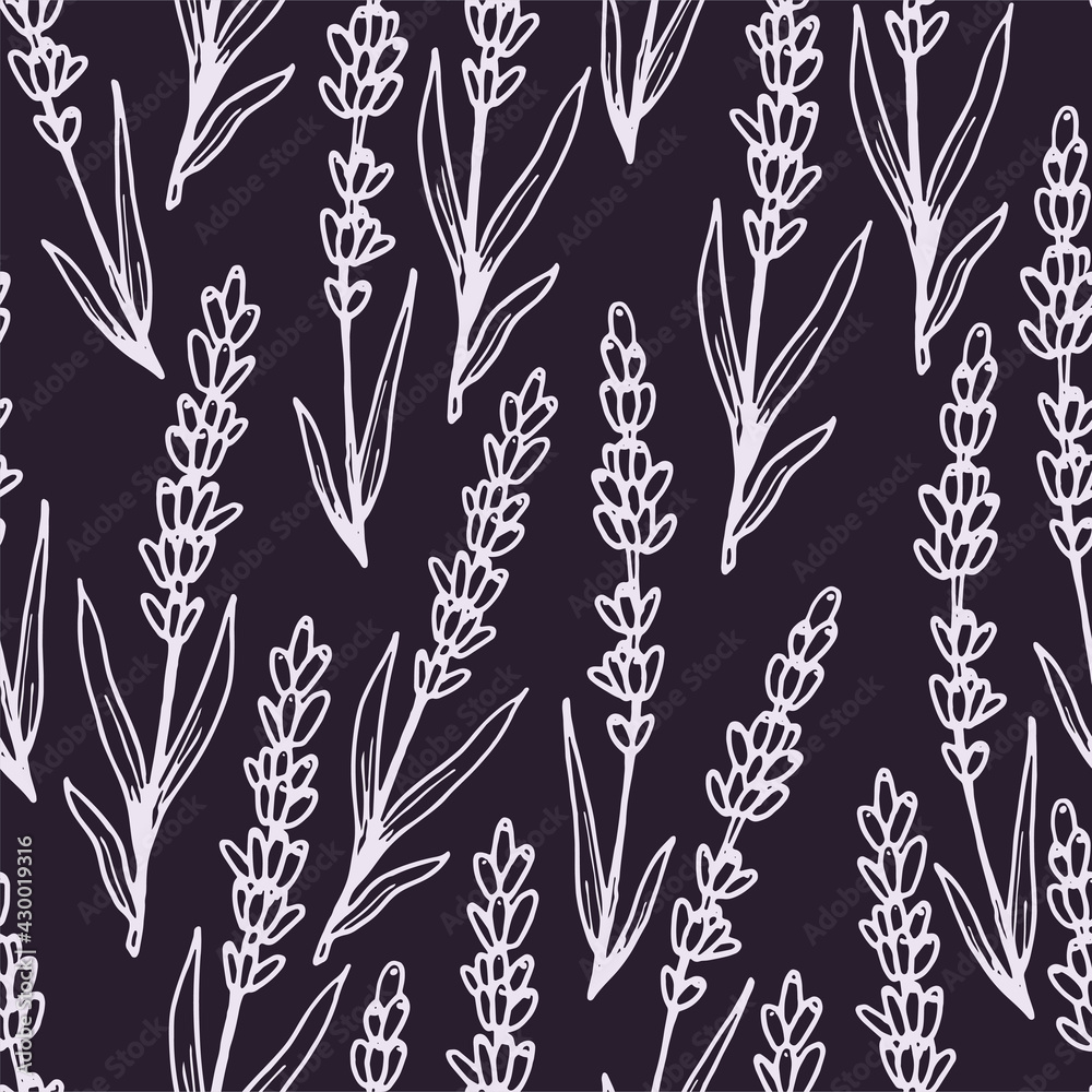 Fototapeta premium lavender