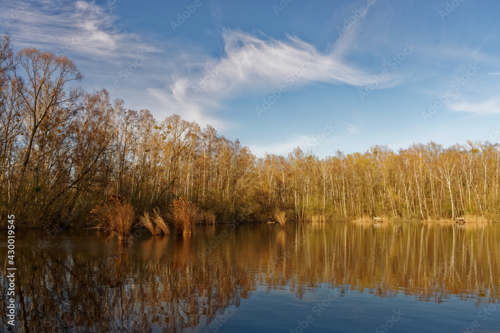 Obraz premium Ruhiger Fischteich im Abendlicht
