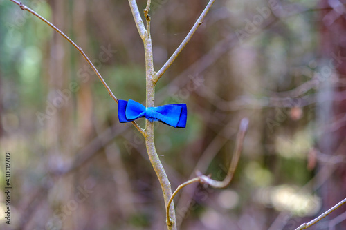 small tree branches in spring on neutral blur background