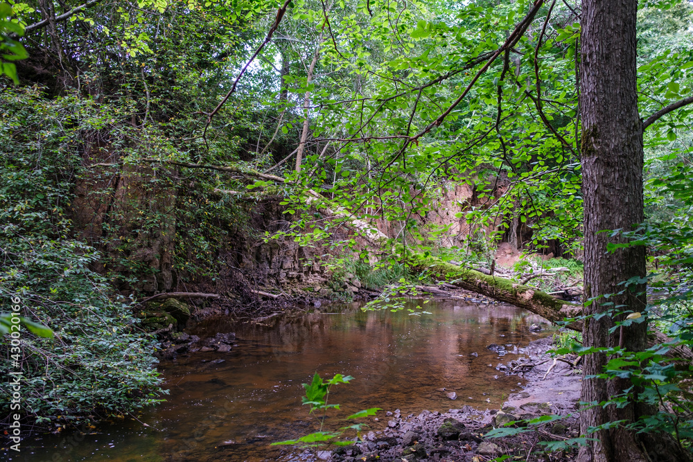 slow forest river in summer green woods with rocks in stream slow forest river in summer green woods with rocks in stream