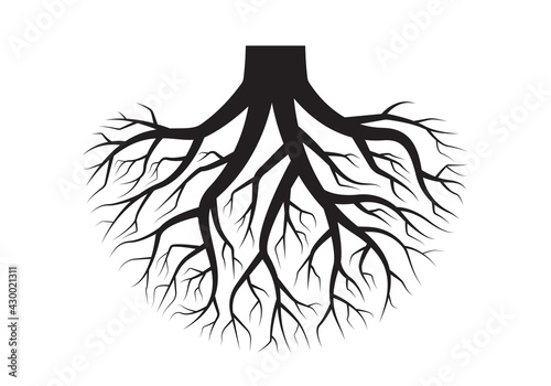 Tree roots. Black plant silhouette. Vector illustration.