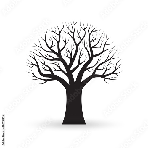 Tree with naked branches. Autumn or winter bare tree silhouette. Vector illustration.