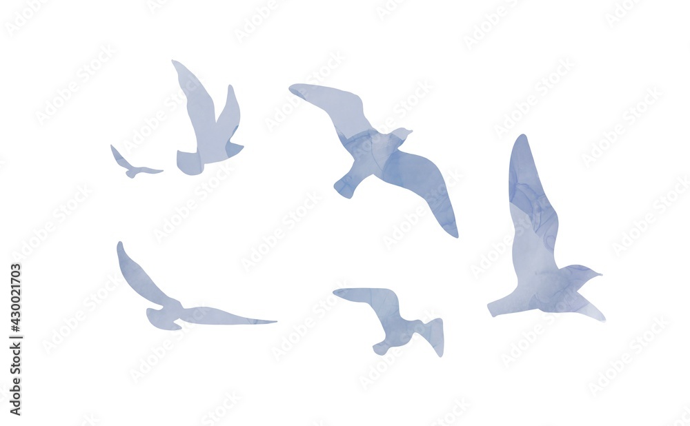 Fototapeta premium white doves in blue