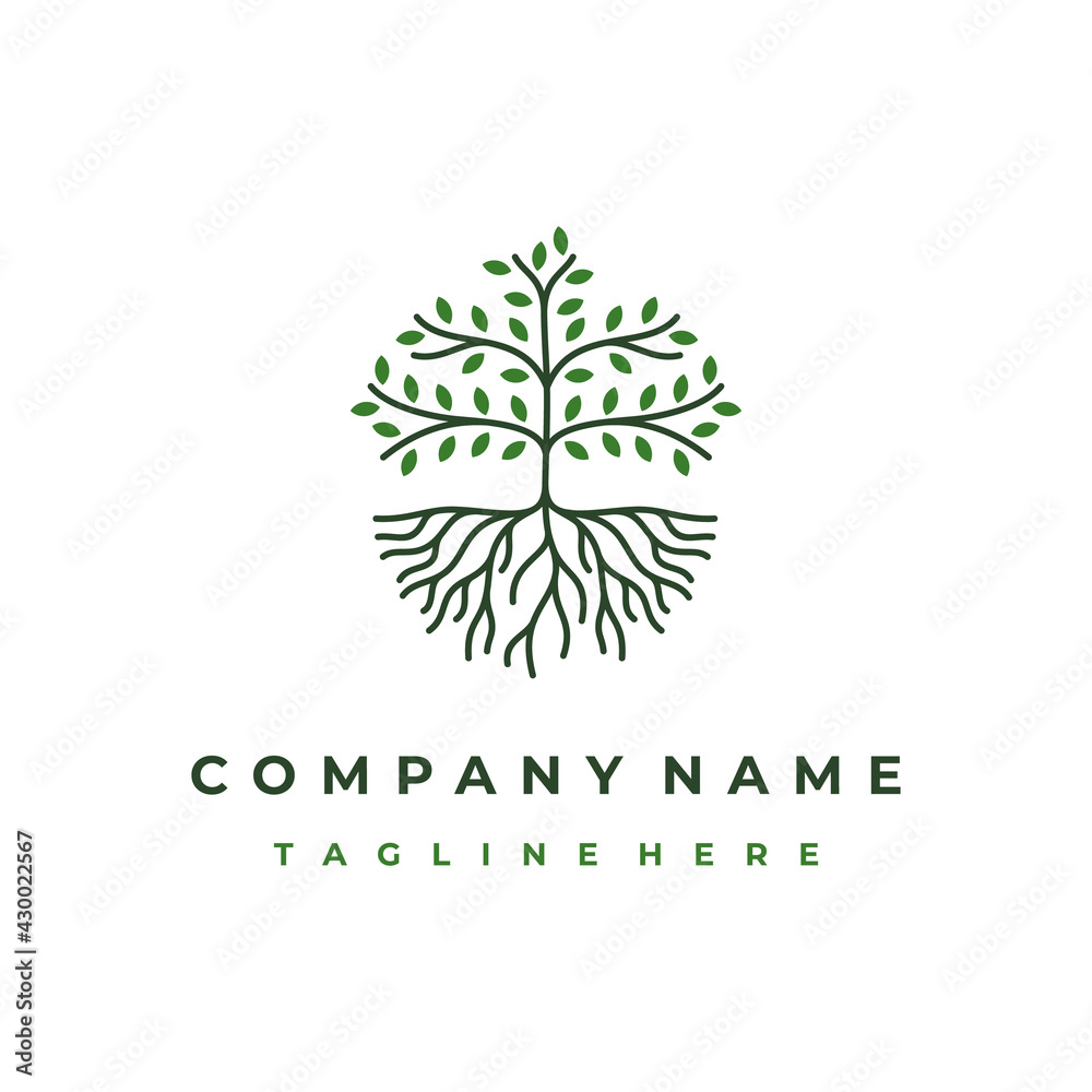 Line art tree logo design, tree and root vector. Tree of life logo ...