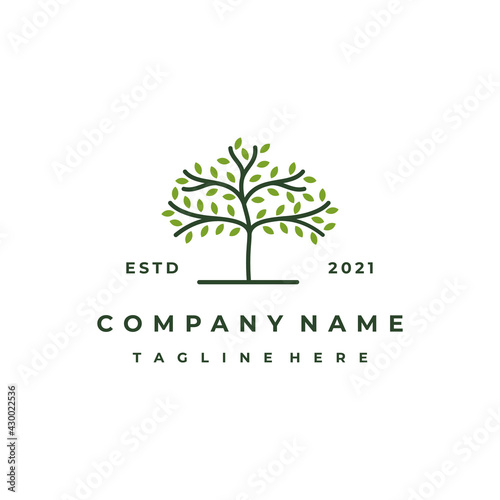 Vibrant tree logo design, tree vector illustration. Tree of life logo design inspiration