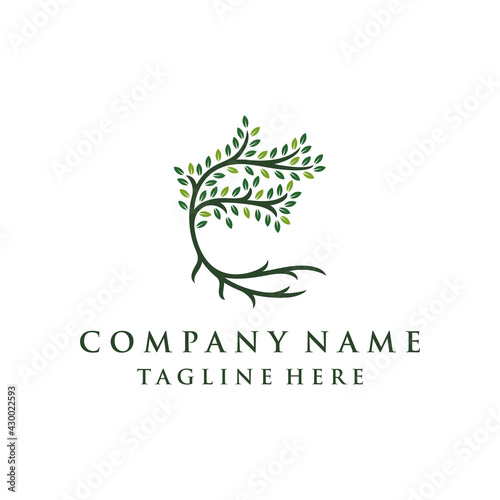 Tree and roots logo design vector isolated, abstract tree logo design