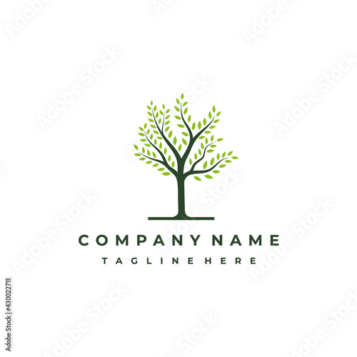 Vibrant tree logo design, tree vector illustration. Tree of life logo design inspiration