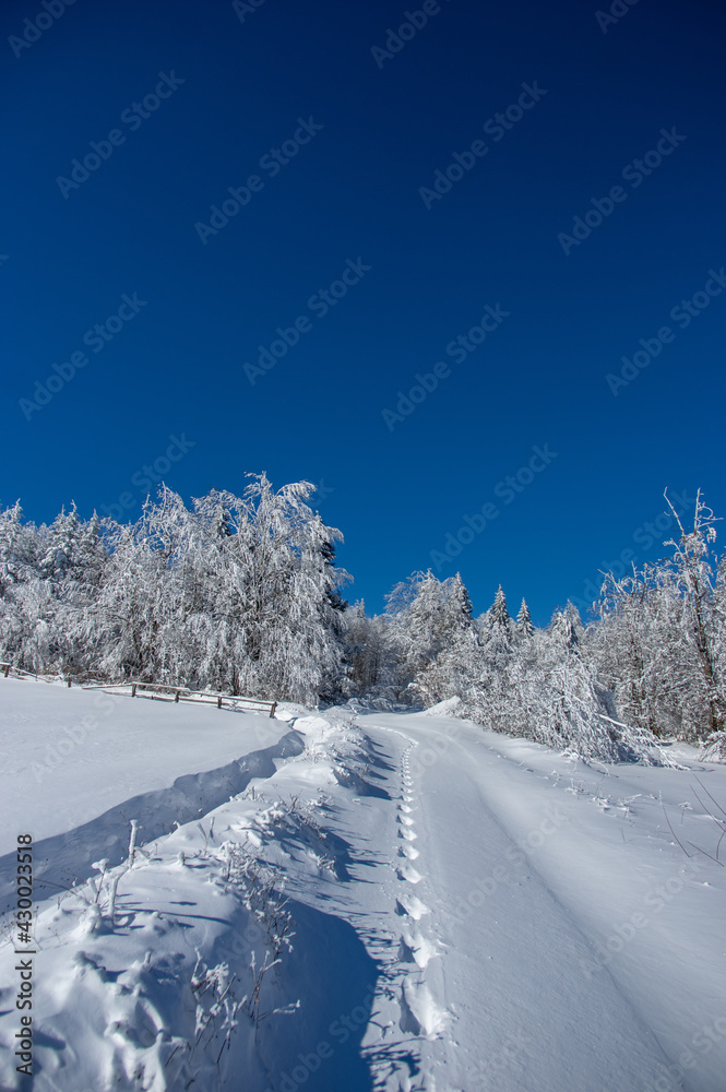 Winter snow forest trail view. Snowy winter forest road Winter snow forest trail view. Snowy winter forest road