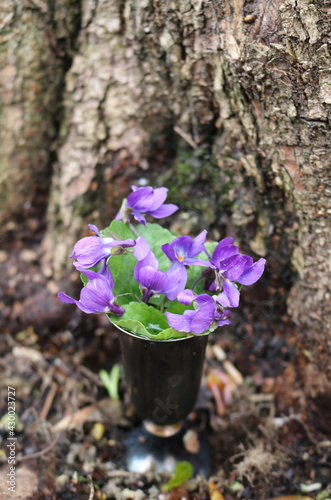 a bouquet of violets in a vase
