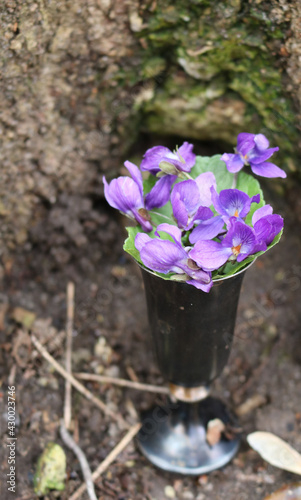 a bouquet of violets in a vase
