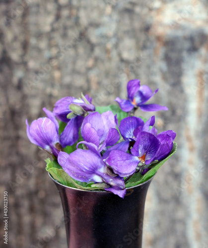 a bouquet of violets in a vase
