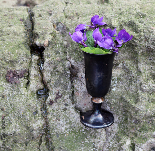 a bouquet of violets in a vase
