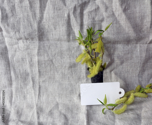 willow branch in a vase on a gray drapery
