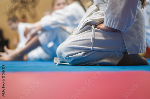 Children in karate training. Figures in white kimano on a colored tatami background. Copy-space.