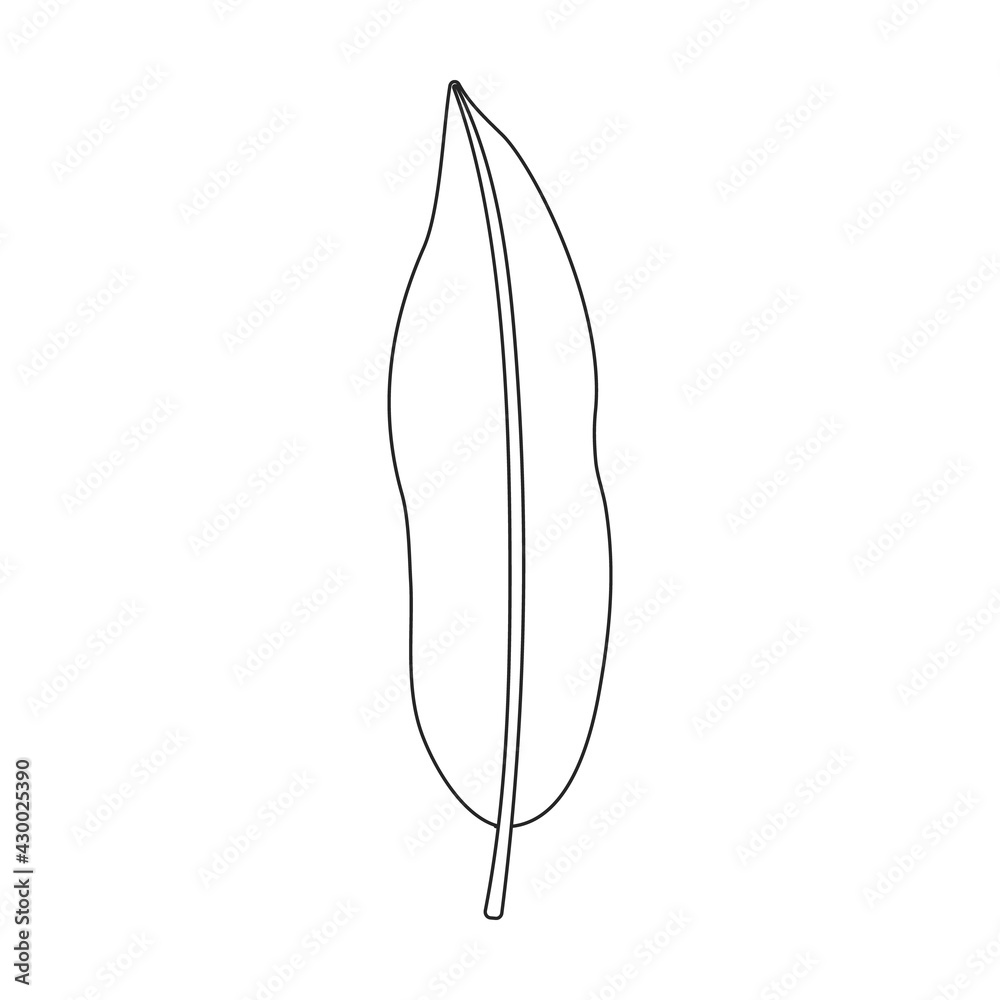Lychee vector outline icon. Vector illustration litchi on white background. Isolated outline illustration icon of lychee . Lychee vector outline icon. Vector illustration litchi on white background. Isolated outline illustration icon of lychee .