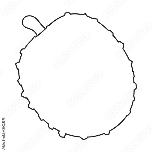 Lychee vector outline icon. Vector illustration litchi on white background. Isolated outline illustration icon of lychee .