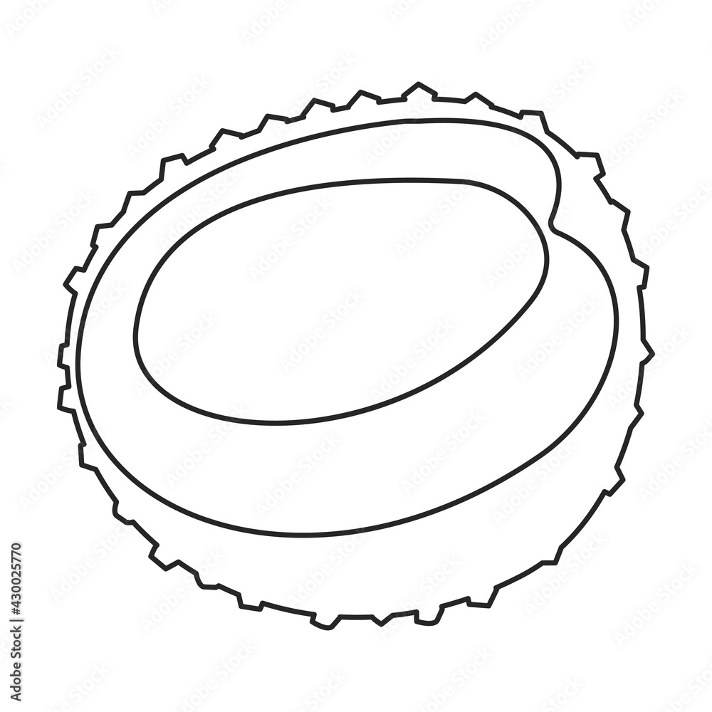 Lychee vector outline icon. Vector illustration litchi on white background. Isolated outline illustration icon of lychee .