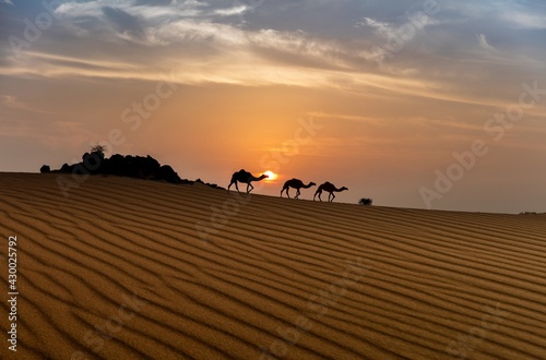Fototapeta Naklejka Na Ścianę i Meble -  Arabian Sahara