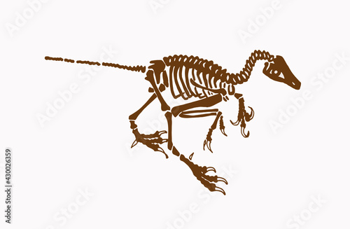 Graphical vintage skeleton of Albertonykus ,vector fossils of alvarezsaurid dinosaur from the Maastrichtian-age