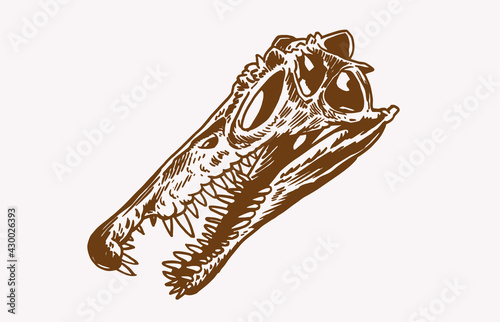 Graphical vintage skull of spinosaurus, paleontology