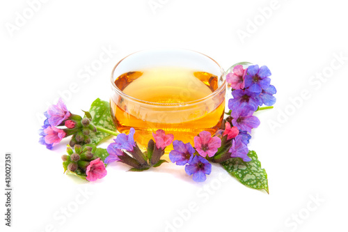 Lungwort flowers (Pulmonaria officinalis) herbal tea in a cup with flowers on white