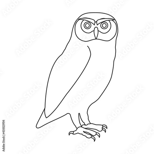 Owl vector outline icon. Vector illustration bird on white background. Isolated outline illustration icon of owl .