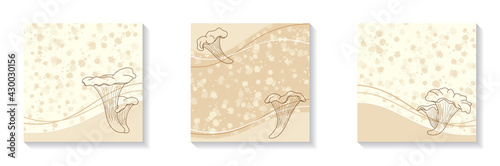 Vector beige square illustrations for social media. Chanterelle outlines in pastel colors.