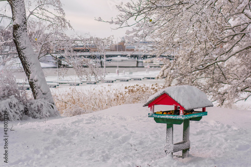 Bird feeder , Stocholm, Sweden, 2018
