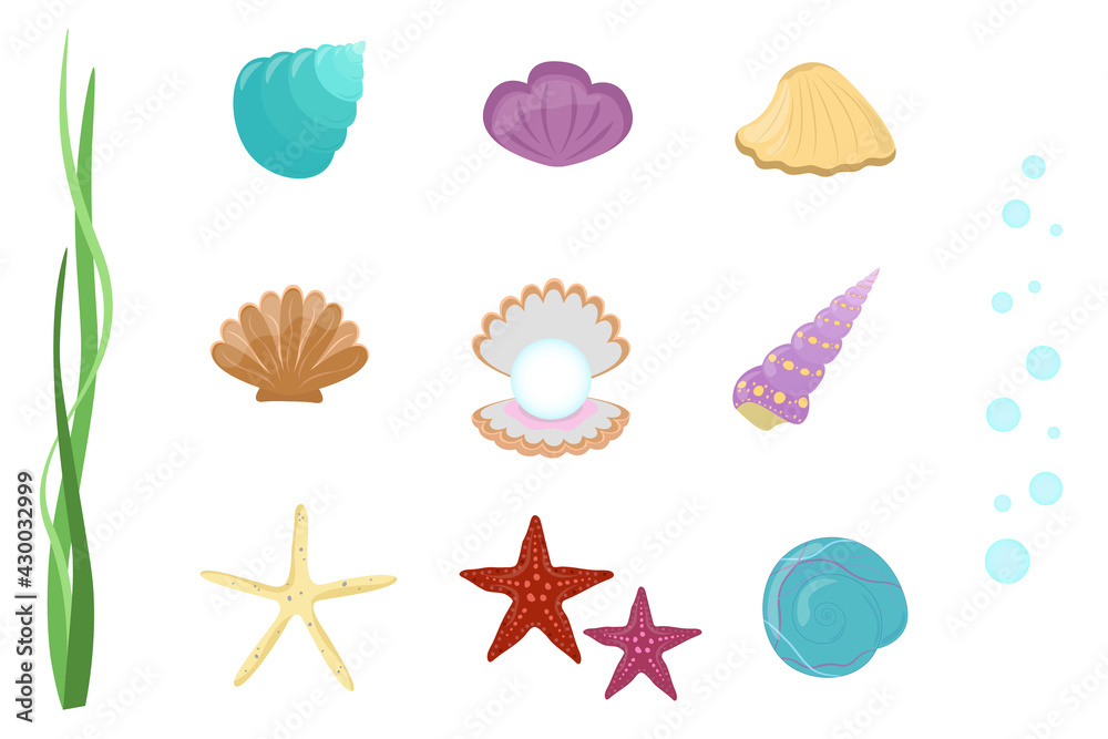 Seashells and starfish set. Vector collection of underwater elements on white background Seashells and starfish set. Vector collection of underwater elements on white background