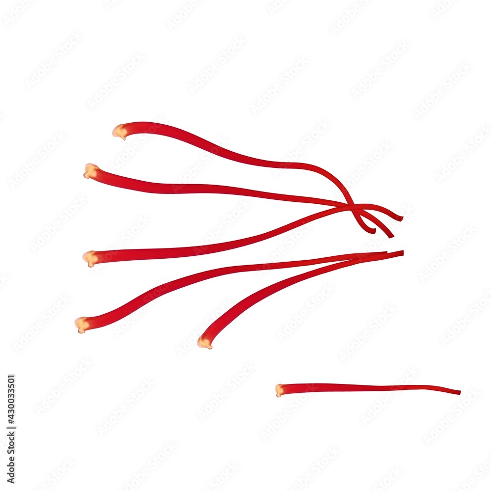 Saffron flower Bud open close-up. Seasoning expensive saffron