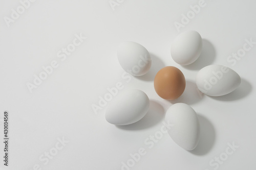 Six chicken eggs  five white and one brown in the shape of a flower. Easter eggs