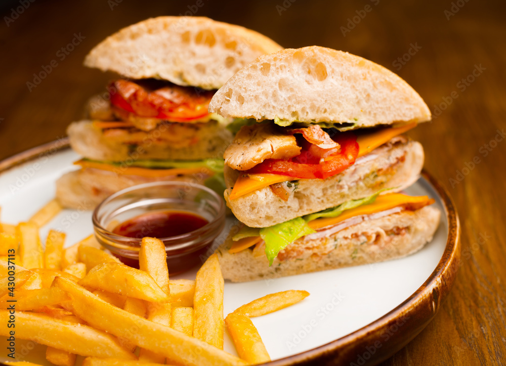 A chicken sandwich with some french fries on a plate.