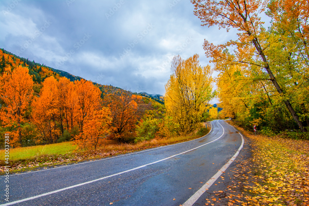 Autumn colors at rainy day in Savsat Town of Turkey