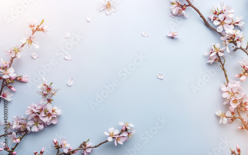 Flowering Spring, sakura blossoming branches on light blue background with bokeh, light. Happy Easter holiday, top view, banner
