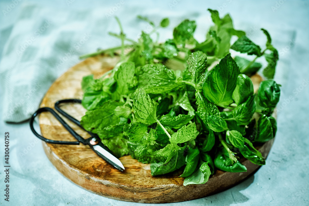 Fresh aromatic culinary herbs. Bunch of basil on wooden background Fresh aromatic culinary herbs. Bunch of basil on wooden background