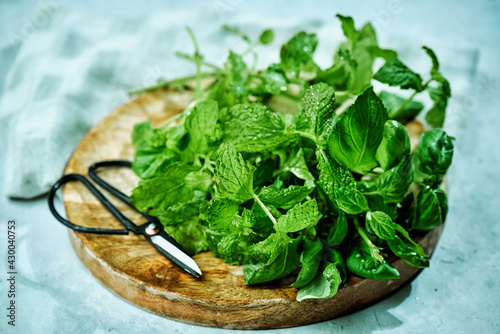 Fresh aromatic culinary herbs. Bunch of basil on wooden background