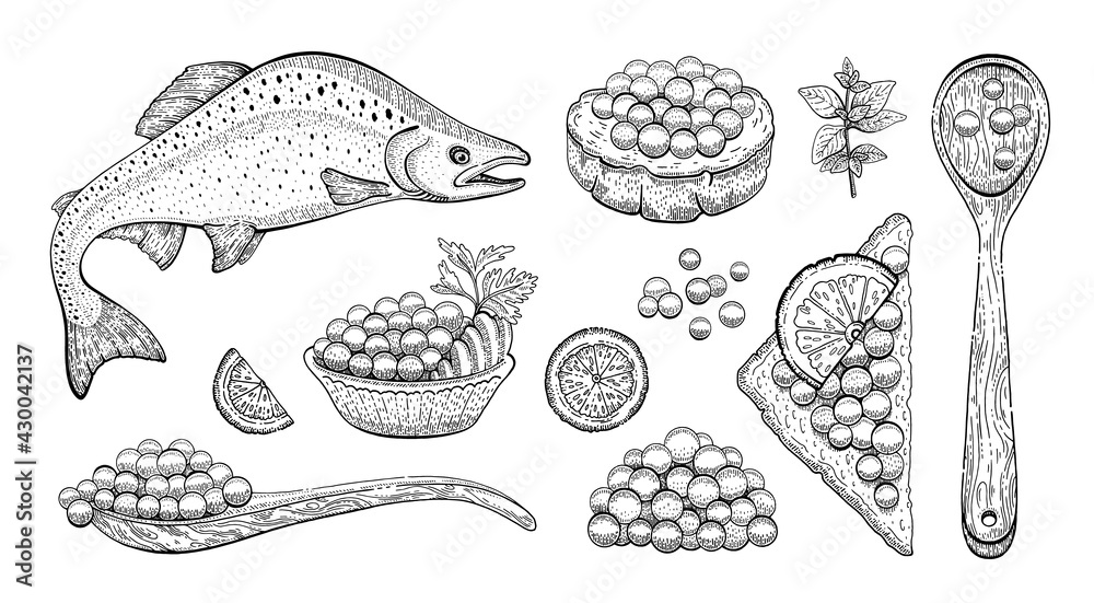 Caviar sketch illustration. Salmon caviar drawing. Vector vintage fish  food. Black red fish egg in hand drawn doodle design. Spoon, sanswich,  plate. Engraved pattern, art cartoon isolated on white Stock Vector
