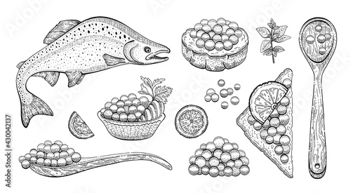 Caviar sketch illustration. Salmon caviar drawing. Vector vintage fish food. Black red fish egg in hand drawn doodle design. Spoon, sanswich, plate. Engraved pattern, art cartoon isolated on white