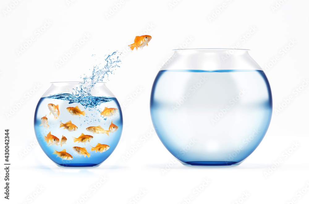 Red fish jumps from a full of fishes cruet to an empty and bigger one. concept of escape from crowd Red fish jumps from a full of fishes cruet to an empty and bigger one. concept of escape from crowd