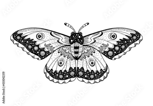 Moth tattoo. Butterfly vector black art. Universe wing moth. Celestial occult moon sketch. Line animal drawing design.