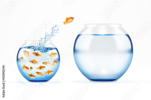 Red fish jumps from a full of fishes cruet to an empty and bigger one. concept of escape from crowd
