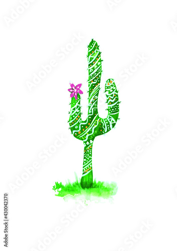 Cactus con flor