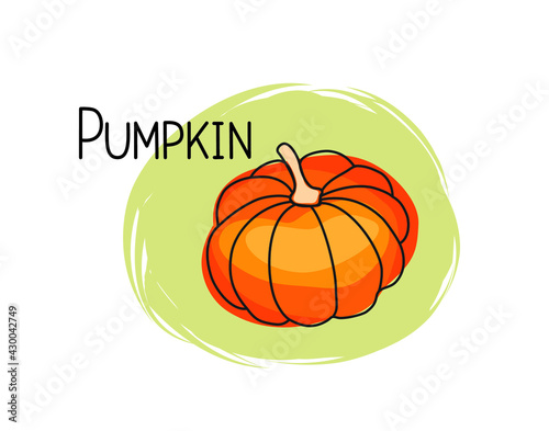 Pumpkin icon. Full fruit pumpkin isolated on white background with lettering Pumpkin. Vegetable stylish drawn symbol Pumpkin