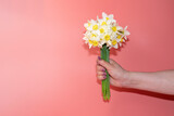 a woman's hand with a bouquet of crocus flowers on a pink background