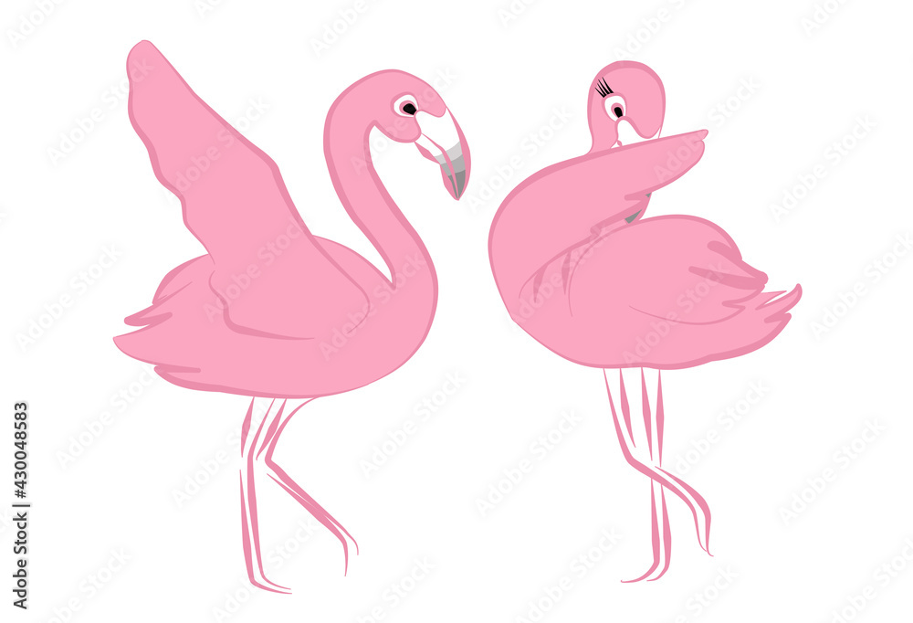 Line art illustration Flamingos dance. Couple  pink Flamingo